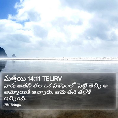 మత్తయి 14:11 TELIRV Bible Verse Image