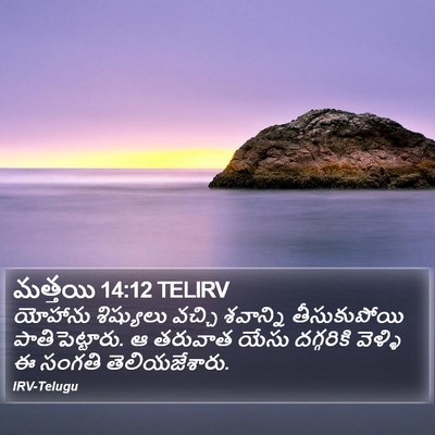 మత్తయి 14:12 TELIRV Bible Verse Image