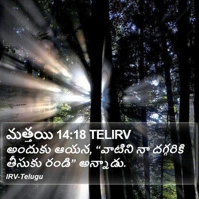 మత్తయి 14:18 TELIRV Bible Verse Image