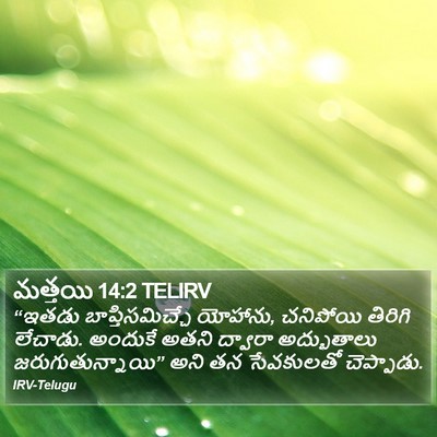 మత్తయి 14:2 TELIRV Bible Verse Image