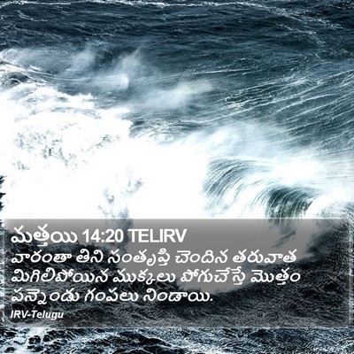 మత్తయి 14:20 TELIRV Bible Verse Image