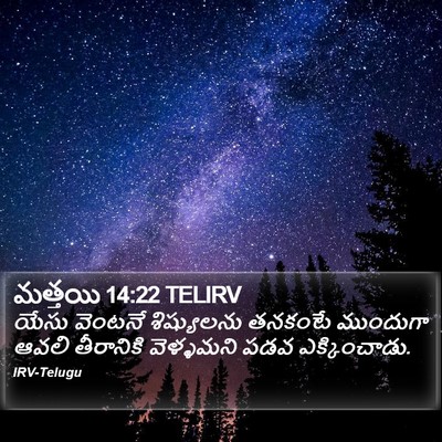 మత్తయి 14:22 TELIRV Bible Verse Image