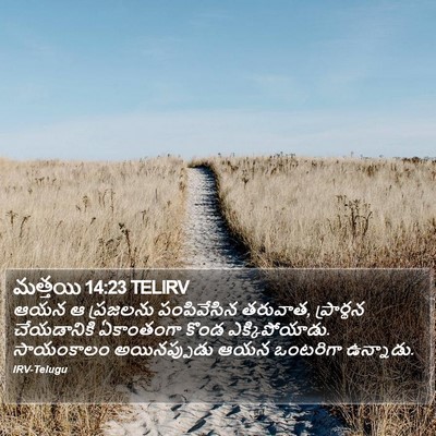 మత్తయి 14:23 TELIRV Bible Verse Image