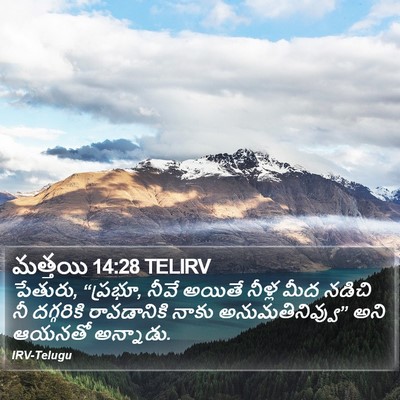 మత్తయి 14:28 TELIRV Bible Verse Image