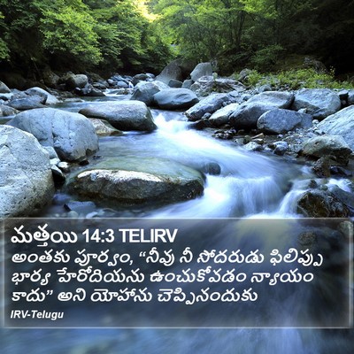 మత్తయి 14:3 TELIRV Bible Verse Image