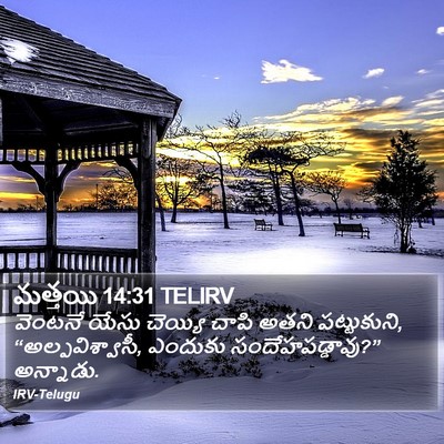 మత్తయి 14:31 TELIRV Bible Verse Image