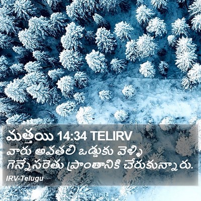 మత్తయి 14:34 TELIRV Bible Verse Image