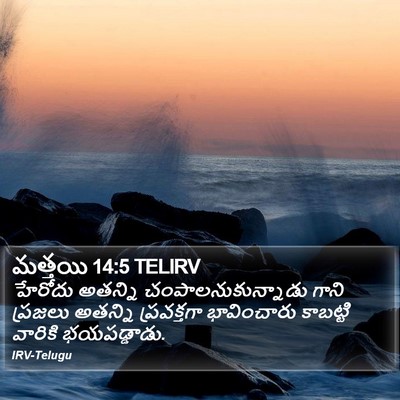 మత్తయి 14:5 TELIRV Bible Verse Image