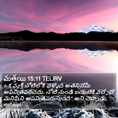 మత్తయి 15:11 TELIRV Bible Verse Image