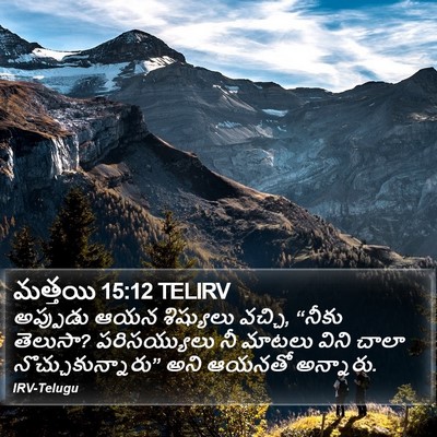 మత్తయి 15:12 TELIRV Bible Verse Image