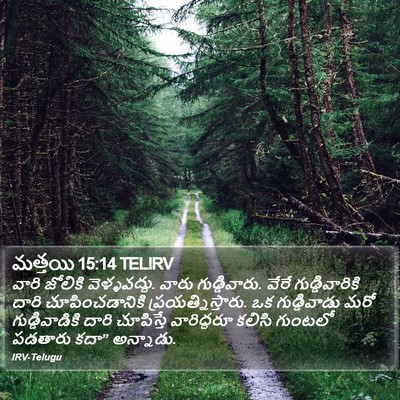 మత్తయి 15:14 TELIRV Bible Verse Image