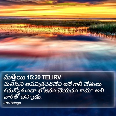 మత్తయి 15:20 TELIRV Bible Verse Image