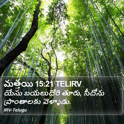 మత్తయి 15:21 TELIRV Bible Verse Image
