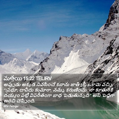 మత్తయి 15:22 TELIRV Bible Verse Image