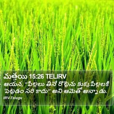 మత్తయి 15:26 TELIRV Bible Verse Image