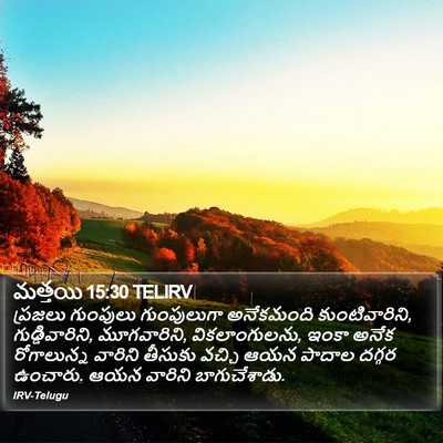 మత్తయి 15:30 TELIRV Bible Verse Image