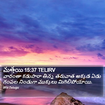 మత్తయి 15:37 TELIRV Bible Verse Image