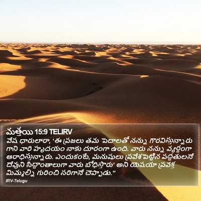 మత్తయి 15:9 TELIRV Bible Verse Image
