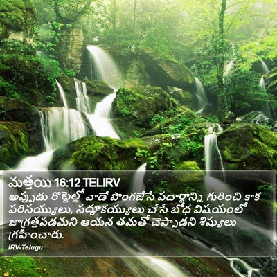 మత్తయి 16:12 TELIRV Bible Verse Image