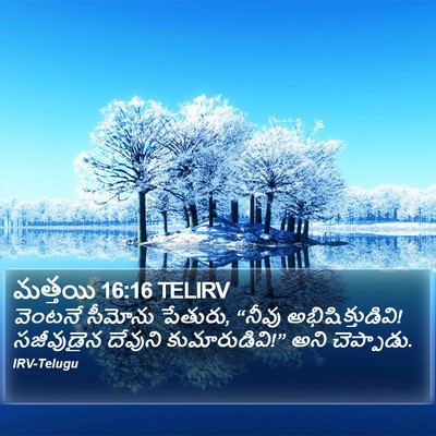 మత్తయి 16:16 TELIRV Bible Verse Image