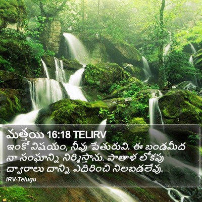 మత్తయి 16:18 TELIRV Bible Verse Image