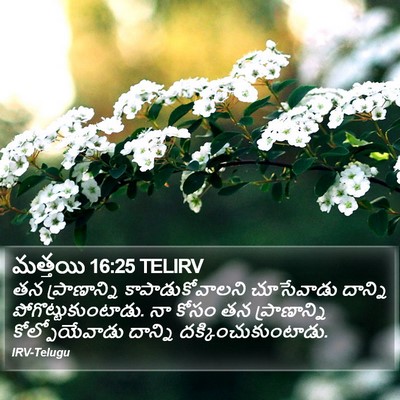 మత్తయి 16:25 TELIRV Bible Verse Image