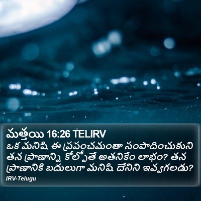 మత్తయి 16:26 TELIRV Bible Verse Image