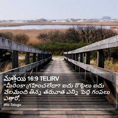 మత్తయి 16:9 TELIRV Bible Verse Image
