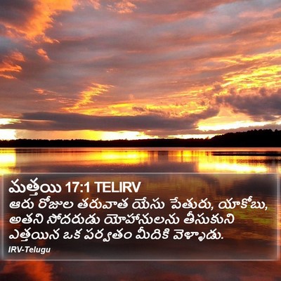 మత్తయి 17:1 TELIRV Bible Verse Image