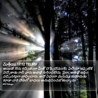 మత్తయి 17:12 TELIRV Bible Verse Image