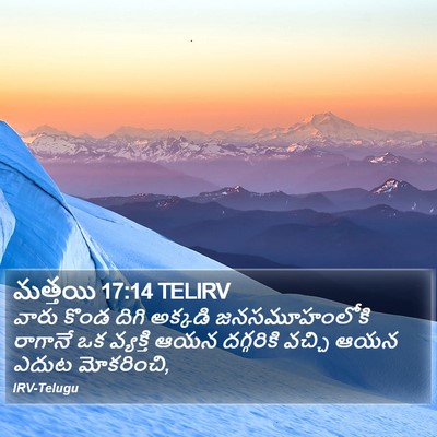 మత్తయి 17:14 TELIRV Bible Verse Image