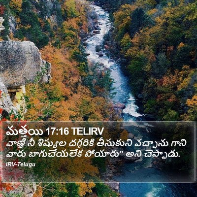 మత్తయి 17:16 TELIRV Bible Verse Image