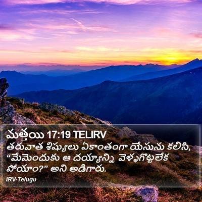 మత్తయి 17:19 TELIRV Bible Verse Image