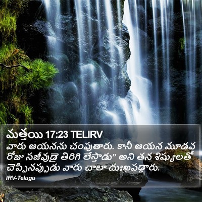 మత్తయి 17:23 TELIRV Bible Verse Image