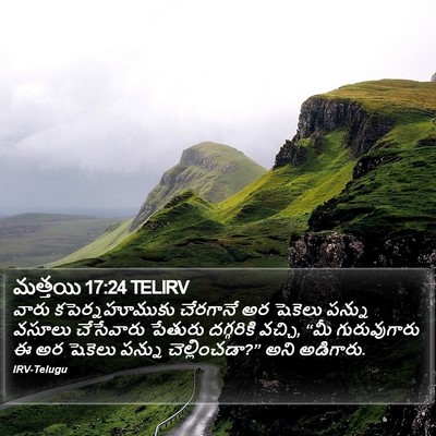 మత్తయి 17:24 TELIRV Bible Verse Image