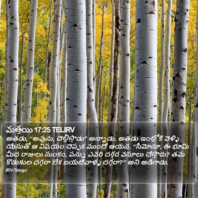మత్తయి 17:25 TELIRV Bible Verse Image