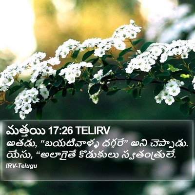 మత్తయి 17:26 TELIRV Bible Verse Image