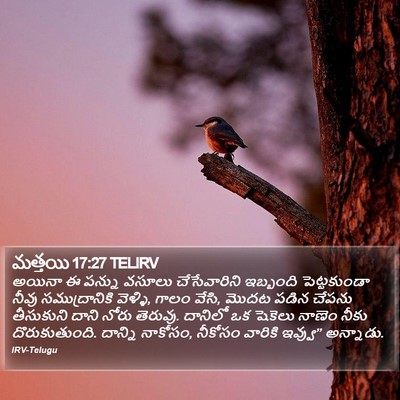 మత్తయి 17:27 TELIRV Bible Verse Image