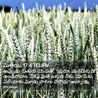 మత్తయి 17:4 TELIRV Bible Verse Image