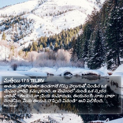 మత్తయి 17:5 TELIRV Bible Verse Image
