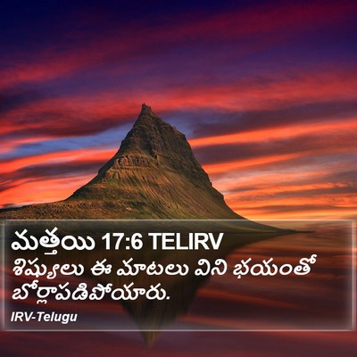 మత్తయి 17:6 TELIRV Bible Verse Image