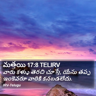 మత్తయి 17:8 TELIRV Bible Verse Image