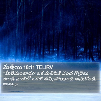 మత్తయి 18:11 TELIRV Bible Verse Image