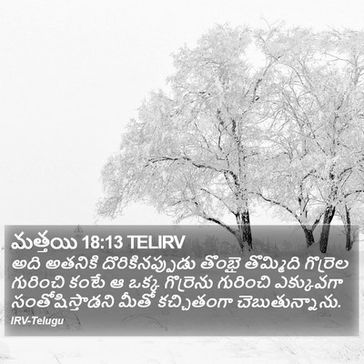 మత్తయి 18:13 TELIRV Bible Verse Image