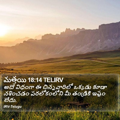 మత్తయి 18:14 TELIRV Bible Verse Image
