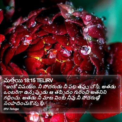 మత్తయి 18:15 TELIRV Bible Verse Image