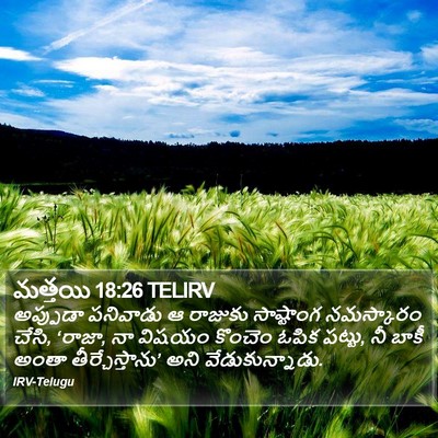 మత్తయి 18:26 TELIRV Bible Verse Image
