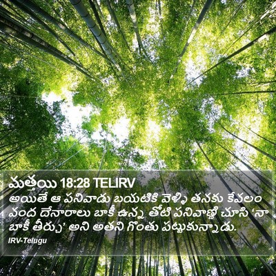 మత్తయి 18:28 TELIRV Bible Verse Image