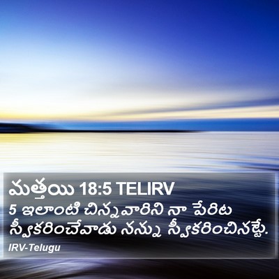 మత్తయి 18:5 TELIRV Bible Verse Image