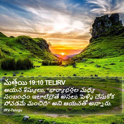 మత్తయి 19:10 TELIRV Bible Verse Image